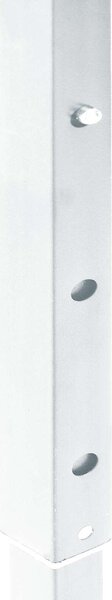 VidaXL Rendezvénysátor - Fehér - 2x2m