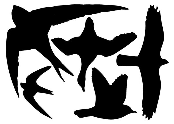 Birds fekete ablakmatrica szett - Esschert Design