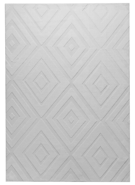 Szőnyeg BORAH Világosszürke 160 x 230 cm