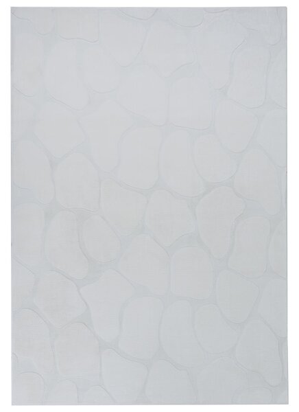 Szőnyeg KAWI Világosszürke 160 x 230 cm
