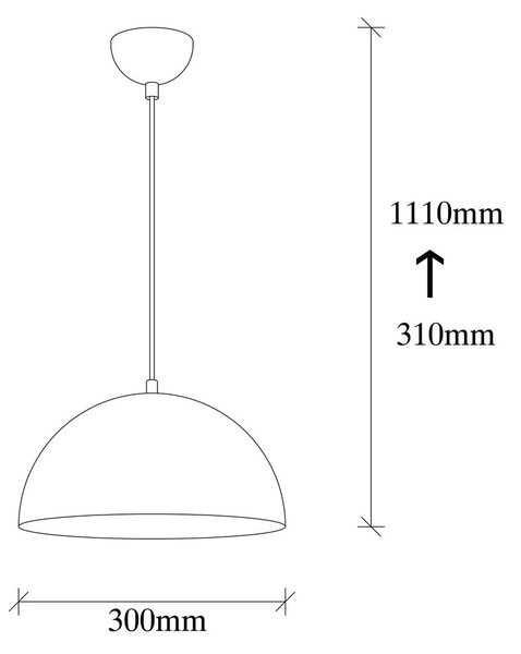 Fekete függőlámpa fém búrával ø 30 cm Coppa – Opviq lights