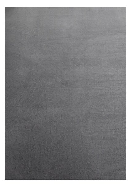 Szürke mosható szőnyeg 120x170 cm Sky – Ayyildiz Carpets