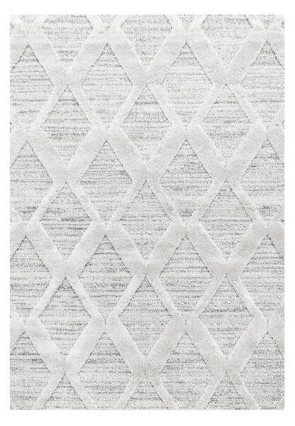 Világosszürke szőnyeg 60x110 cm Pisa – Ayyildiz Carpets