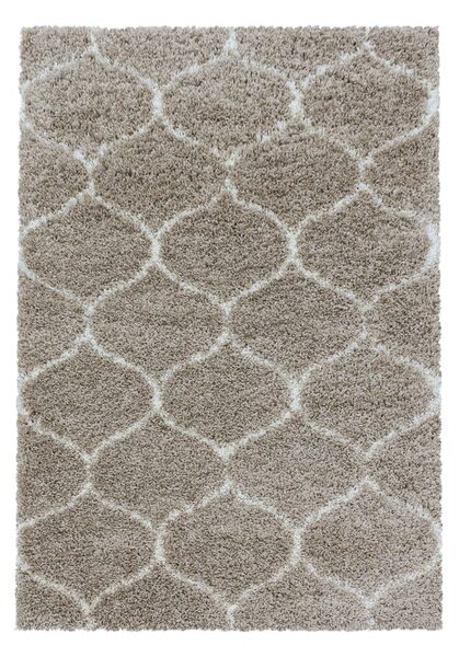Bézs szőnyeg 120x170 cm Salsa – Ayyildiz Carpets
