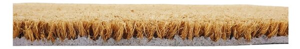Kókuszrost lábtörlő 40x60 cm Swallows – Artsy Doormats