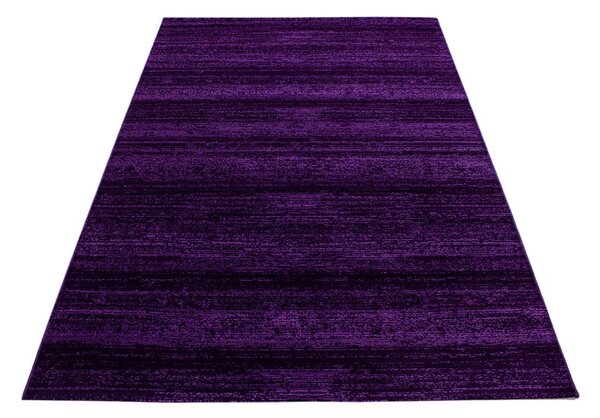 Sötétlila szőnyeg 80x150 cm Plus – Ayyildiz Carpets