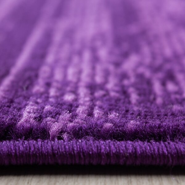 Sötétlila szőnyeg 80x150 cm Plus – Ayyildiz Carpets