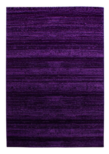 Sötétlila szőnyeg 80x150 cm Plus – Ayyildiz Carpets