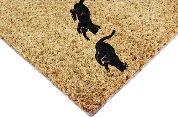 Kókuszrost lábtörlő 40x60 cm Jumping Cats – Artsy Doormats