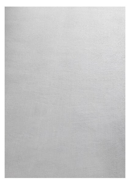 Világosszürke mosható szőnyeg 120x170 cm Sky – Ayyildiz Carpets
