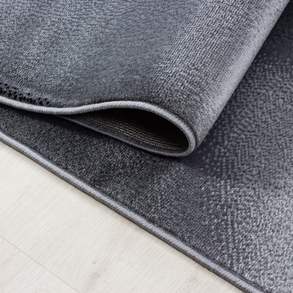 Sötétszürke szőnyeg 120x170 cm Plus – Ayyildiz Carpets