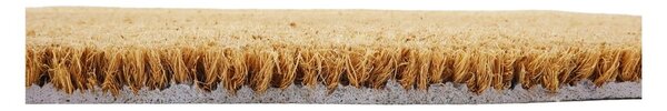 Kókuszrost lábtörlő 40x120 cm Hello Lemons – Artsy Doormats
