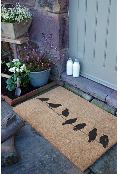Kókuszrost lábtörlő 40x60 cm Birds On a Wire – Artsy Doormats