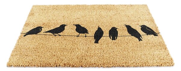 Kókuszrost lábtörlő 40x60 cm Birds On a Wire – Artsy Doormats