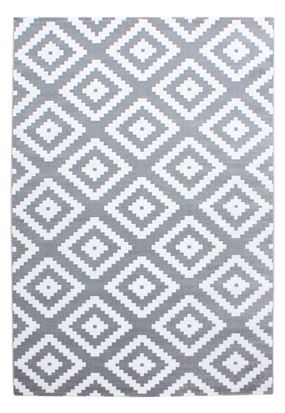 Világosszürke szőnyeg 160x230 cm Plus – Ayyildiz Carpets