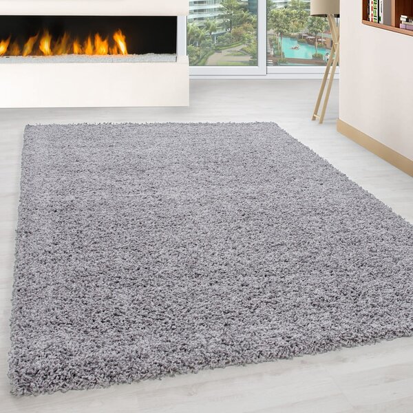 Világosszürke szőnyeg 80x150 cm Life – Ayyildiz Carpets