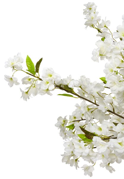 Műnövény CHERRY TREE 180 cm Fehér