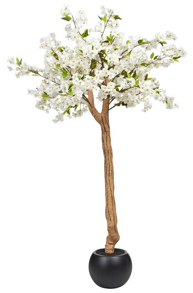 Műnövény CHERRY TREE 180 cm Fehér