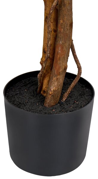 Műnövény WISTERIA TREE 150 cm Zöld