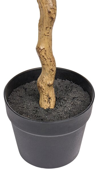 Műnövény MAGNOLIA TREE 128 cm Zöld