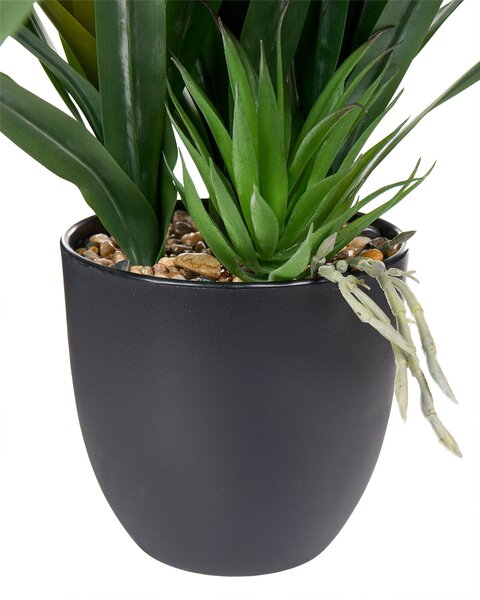 Műnövény GUZMANIA ATILLA 50 cm Zöld