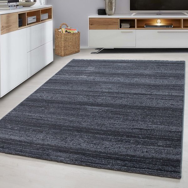 Szürke szőnyeg 80x150 cm Plus – Ayyildiz Carpets