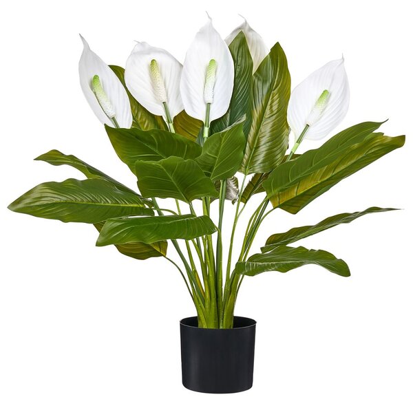 Műnövény SPATHPHYLLUM 70 cm Zöld