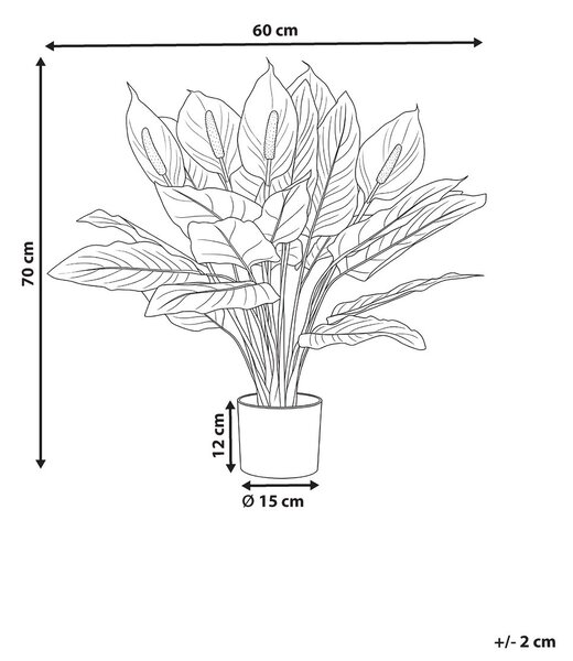 Műnövény SPATHPHYLLUM 70 cm Zöld