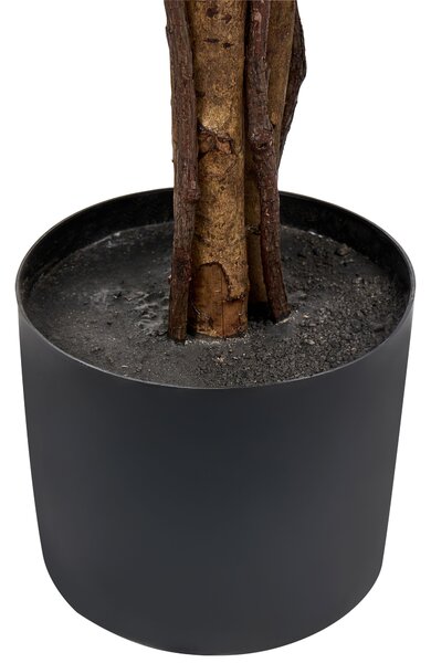 Műnövény UMBRELLA TREE 175 cm Zöld