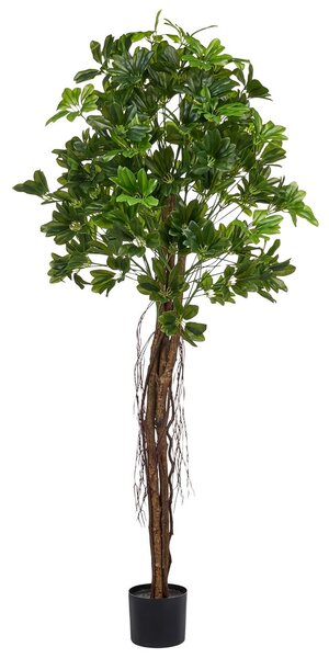 Műnövény UMBRELLA TREE 175 cm Zöld