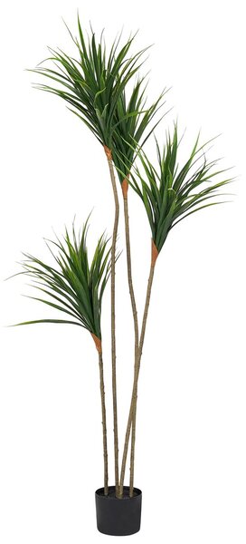 Műnövény DRACAENA DRACO 165 cm Zöld