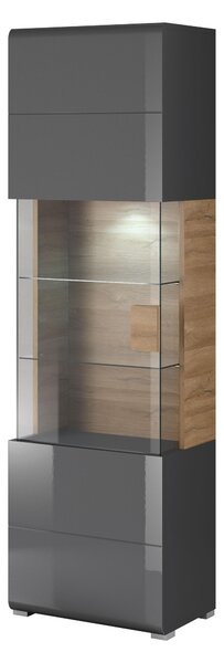 Vitrin Tamie Typ 05 (sötétszürke + tölgy)