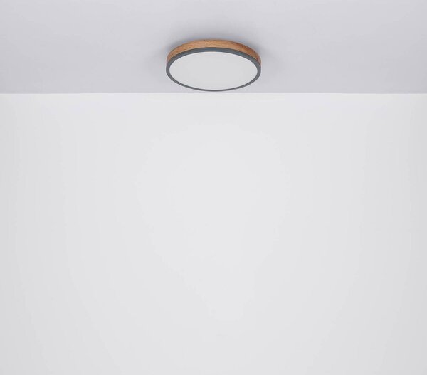 Globo LED mennyezeti lámpa Doro, Ø 45 cm, sötét grafit/fa, fa, CCT, dimmelhető, Sötét fa, Nappali / Étkező, Fa, Modern