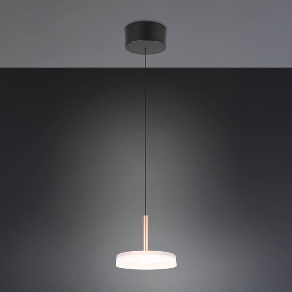 Trio Lighting Celeste LED-es függőlámpa, fehér/barna, Ø 22 cm, üveg, fényerőszabályzóval,, dimmelhető, Fehér / opál, Nappali / Étkező, Üveg, Modern