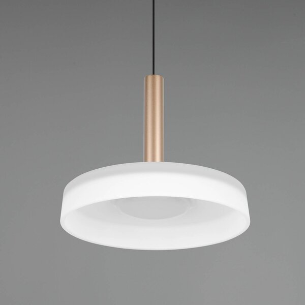 Trio Lighting Celeste LED-es függőlámpa, fehér/barna, Ø 22 cm, üveg, fényerőszabályzóval,, dimmelhető, Fehér / opál, Nappali / Étkező, Üveg, Modern