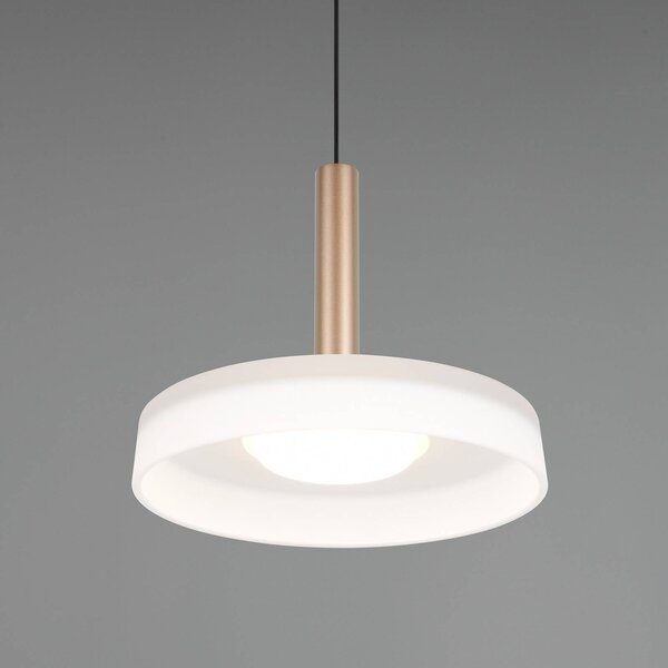 Trio Lighting Celeste LED-es függőlámpa, fehér/barna, Ø 22 cm, üveg, fényerőszabályzóval,, dimmelhető, Fehér / opál, Nappali / Étkező, Üveg, Modern
