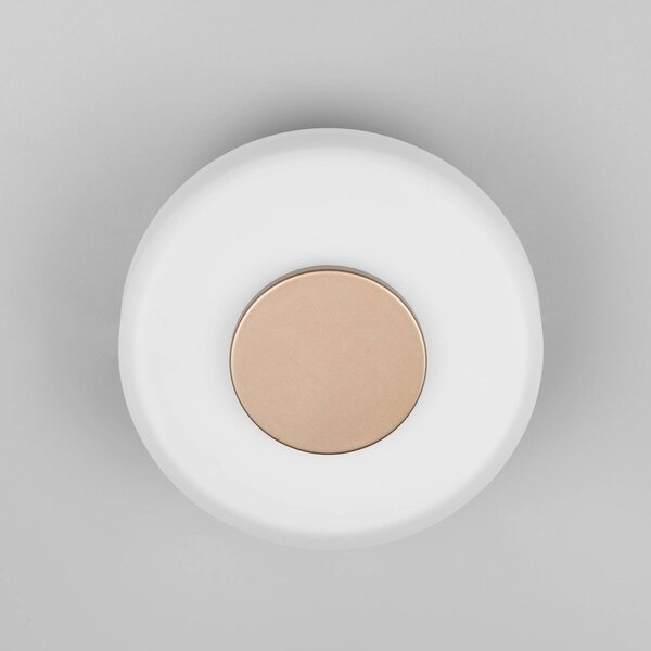 Trio Lighting LED fali lámpa Celeste, barna/fehér, Ø 22 cm-es üveg dimmelhető, dimmelhető, Fehér / opál, Nappali / Étkező, Üveg, Modern