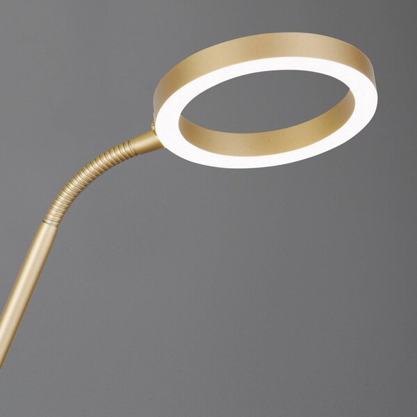 Trio Lighting Willis LED állólámpa, arany, 180 cm magas, fém, CCT, fényerőszabályzó,, dimmelhető, Sárgaréz / arany, Nappali / Étkező, fém, Modern