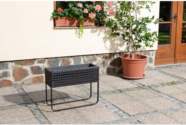 Magnolia fekete kerti virágcserép - Bonami Essentials