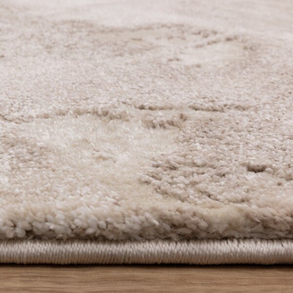 Bézs szőnyeg 200x290 cm Mirage Haze – Asiatic Carpets