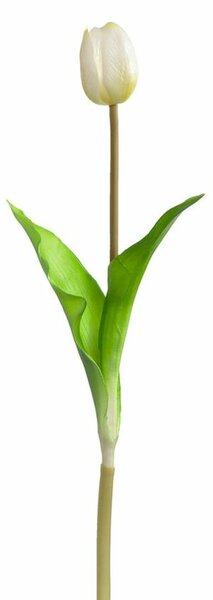 Leonardo Savona tulipán 36cm, fehér