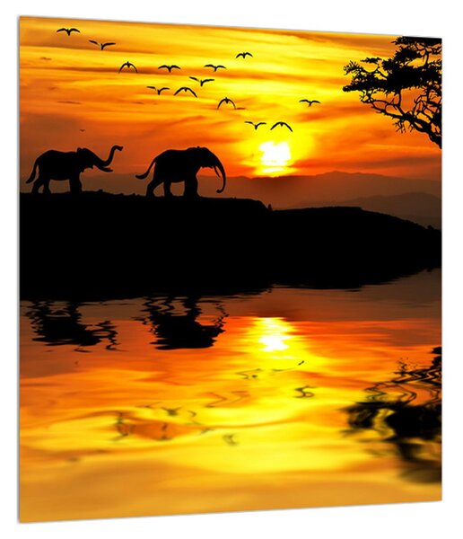 Afrikai tájkép és elefánt képe (30x30 cm)
