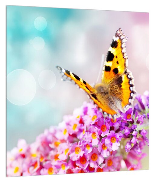 Pillangó a virágon képe (30x30 cm)