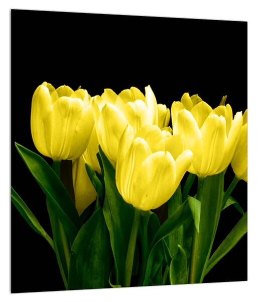 Sárga tulipánok képe (30x30 cm)