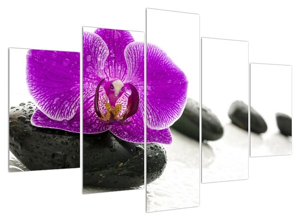 Orchidea képe (150x105 cm)