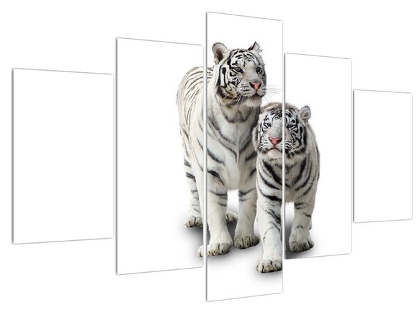 Fehér tigris képe (150x105 cm)