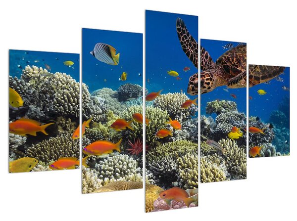 Víz alatti tengeri világ képe (150x105 cm)