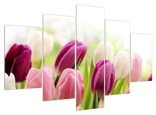 Bimbózó tulipánok képe (150x105 cm)
