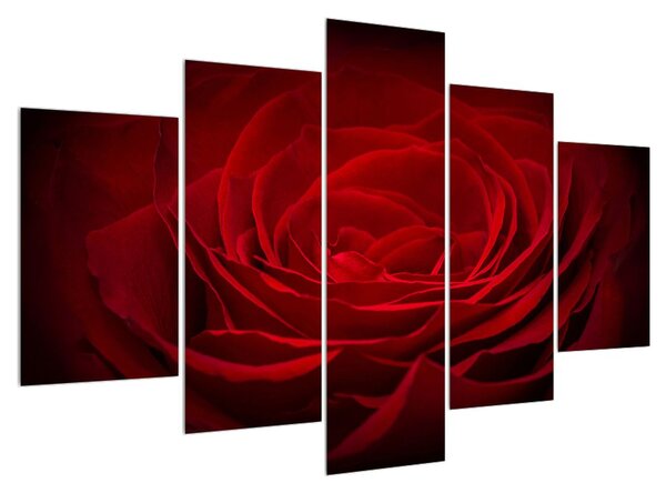 Piros rózsa képe (150x105 cm)