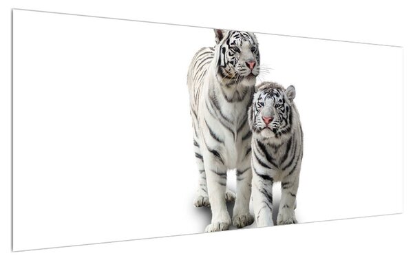 Fehér tigris képe (120x50 cm)